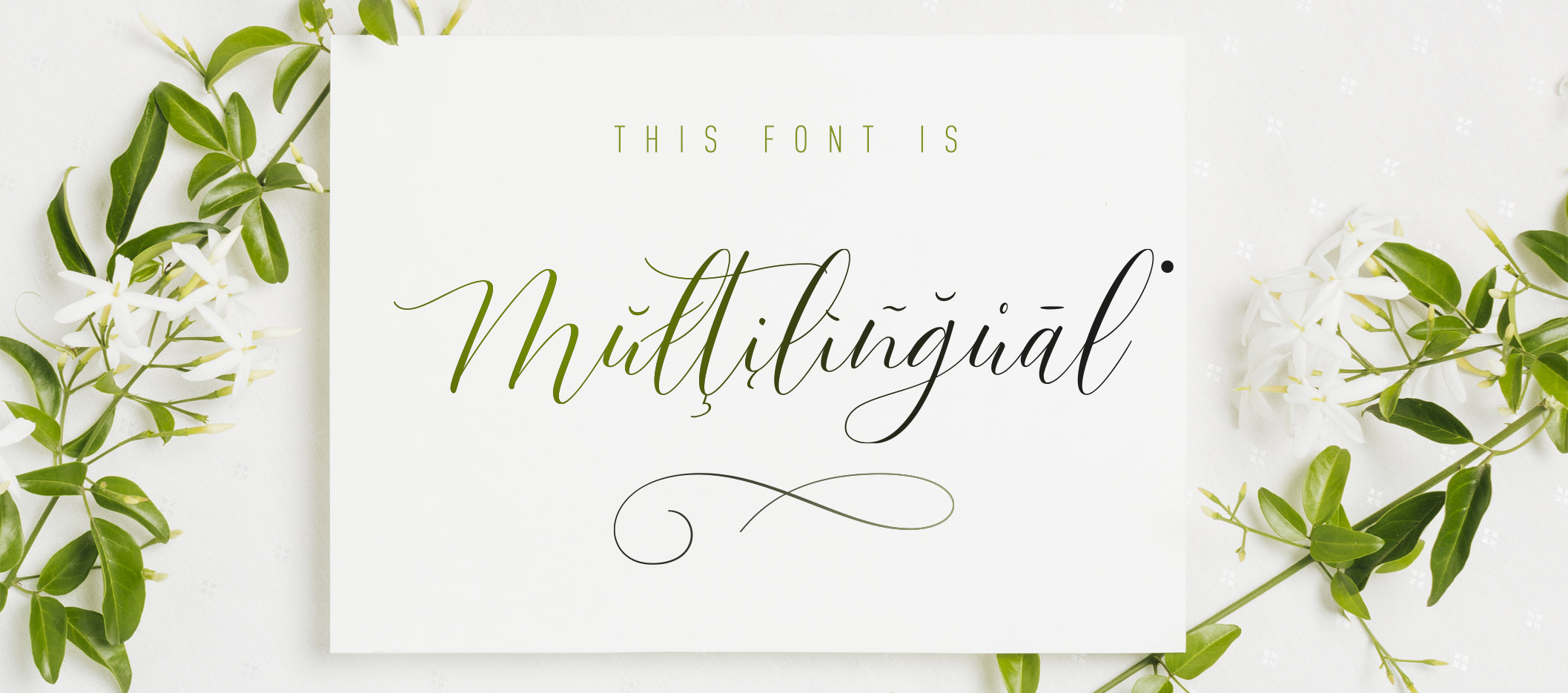 Bergamote script font typeface alternates brush handmade logotype brochure poster magazine modern script wedding invitation romantic