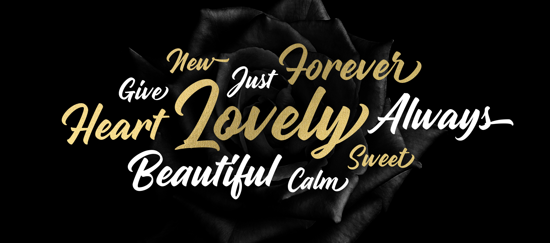 Madame is a back to basics script font.
The full commercial version is provided with a set of alternate glyphes and ligatures.