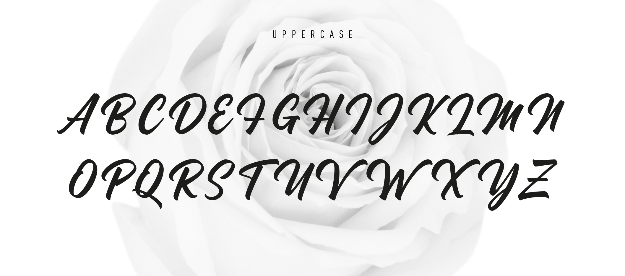 Madame is a back to basics script font.
The full commercial version is provided with a set of alternate glyphes and ligatures.