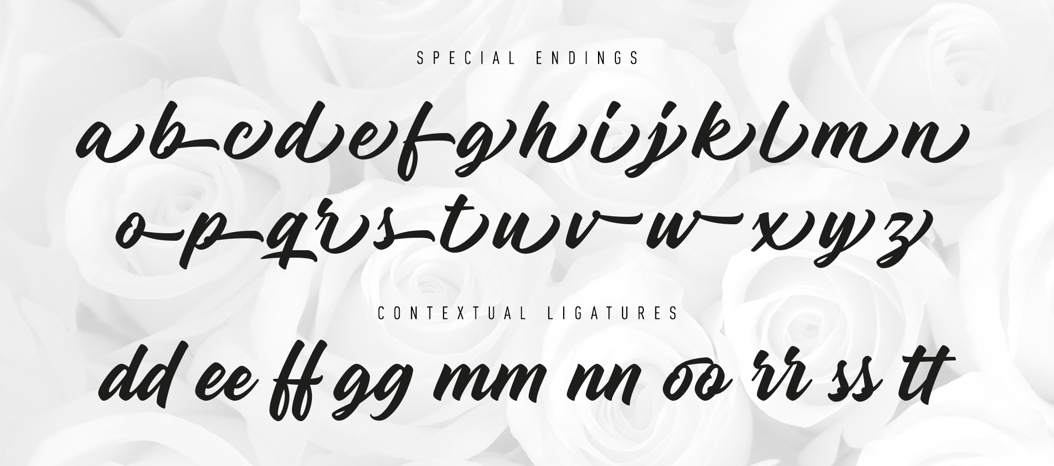 Madame is a back to basics script font.
The full commercial version is provided with a set of alternate glyphes and ligatures.