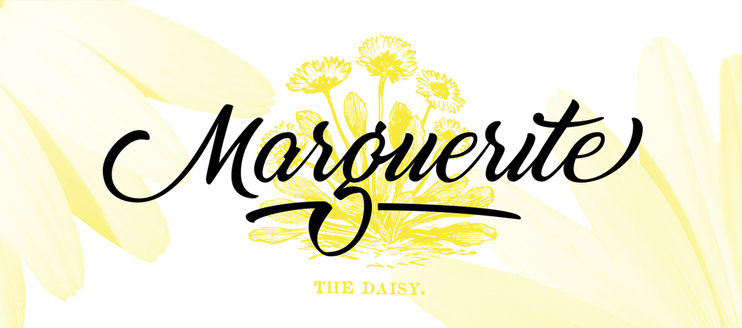 Marguerite (Daisy in french) is a smooth and fresh script font, with  soft curves and natural connexions. The full commercial version is provided with a set of alternate glyphes and ligatures.